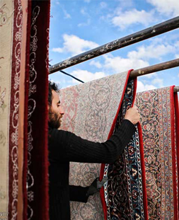 خشک کردن قالی در قالیشویی جشنواره